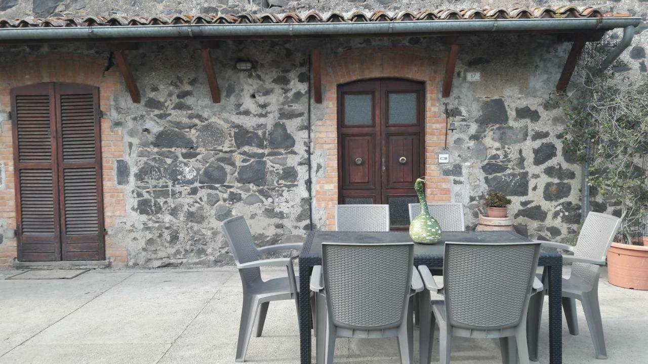 Il Cardellino