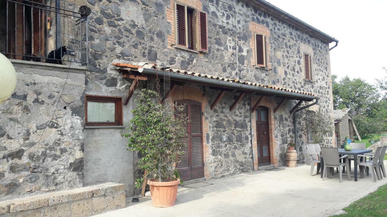 Il Cardellino *